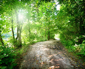 Image showing Dawn on the road in the forest