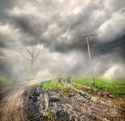 Image showing Country road in the fog