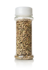 Image showing Fennel in a glass jar