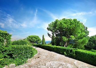 Image showing Vorontsov garden