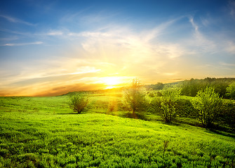 Image showing Green fields of grass