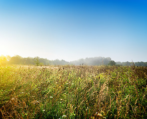 Image showing Dawn over the meadow