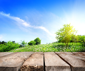 Image showing Field and wooden floor