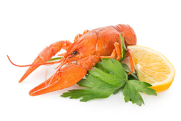 Image showing Crawfish and lemon