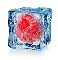 Image showing Berry raspberry in ice cube