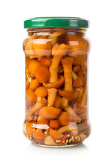 Image showing Honey agarics in a glass jar