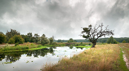 Image showing Cloudy sky over the river