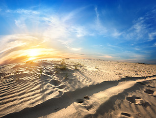 Image showing Footprints in desert