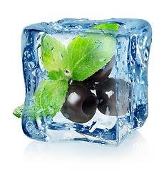 Image showing Olives in ice cube