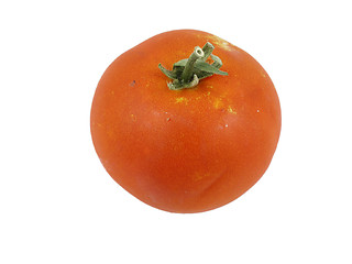 Image showing Tomato