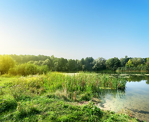 Image showing Silent river