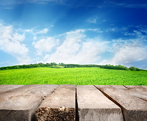 Image showing Meadow and wooden floor