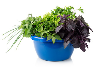 Image showing Greens in a bowl