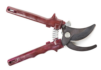 Image showing Shears for garden