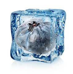 Image showing Blueberry in ice cube