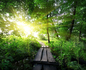 Image showing Wooden bridge in the forest