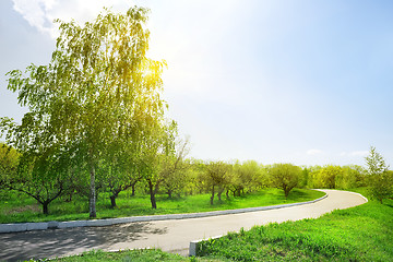 Image showing Asphalt road in the park