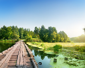 Image showing Bridge over a swampy river