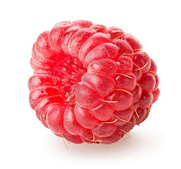 Image showing Juicy raspberry
