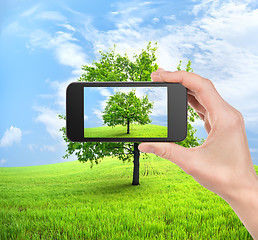 Image showing Phone and tree 