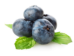 Image showing Blueberry