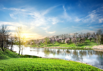 Image showing Spring landscape with river