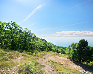 Image showing Footpath to the sea through the forest