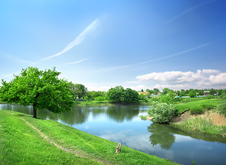 Image showing Spring landscape with the river