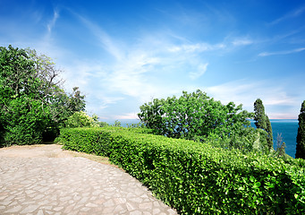 Image showing Vorontsov's  park in summer