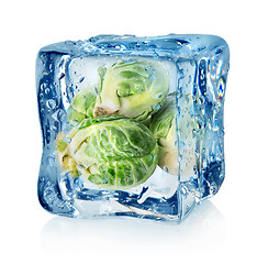 Image showing Brussel sprouts in ice cube