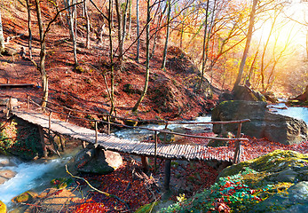 Image showing Bridge in the forest