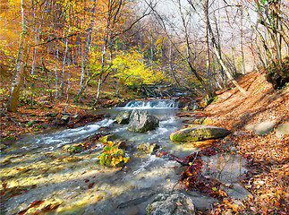 Image showing River in mountains