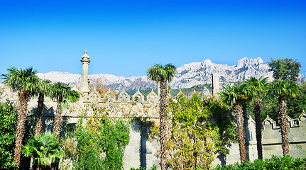 Image showing Park with palm trees