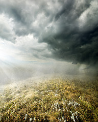 Image showing Rain in the field