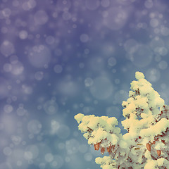 Image showing blue sky background with christmas fir - vintage retro style