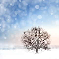 Image showing winter bare tree and snowfall