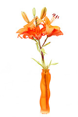 Image showing Detail of flowering orange lily