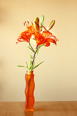 Image showing flowering orange lily indoor