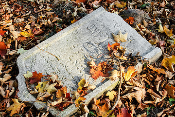 Image showing damaged tomb in forgotten and unkempt Jewish cemetery