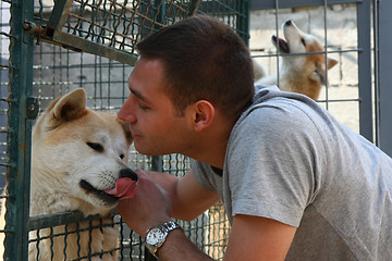 Image showing Akita Inu