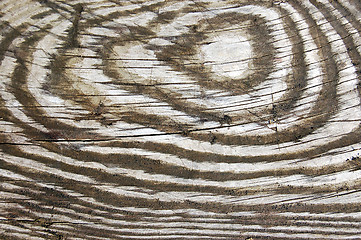 Image showing Wood texture