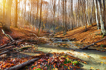 Image showing Wild mountain river