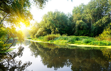 Image showing Morning on the river