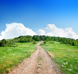 Image showing Country road to the forest