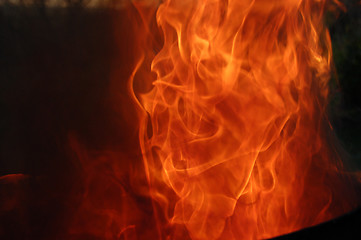 Image showing Fire