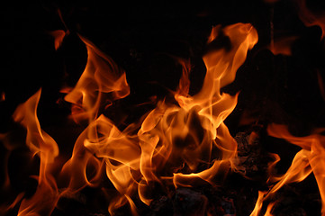 Image showing Fire