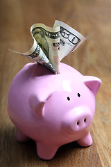 Image showing 	Stuffed piggy bank with US dollars