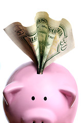 Image showing Stuffed piggy bank with US dollars