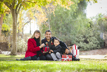 Image showing Mixed Race Family Enjoying Christmas Gifts in the Park Together