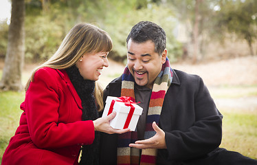Image showing Mixed Race Couple Sharing Christmas or Valentines Day Gift Outsi